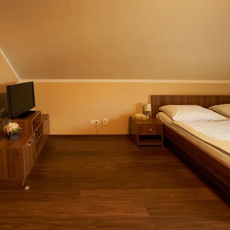 Horse Riding - Jezdecky Areal