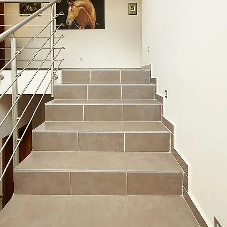 Horse Riding - Jezdecky Areal Tršice