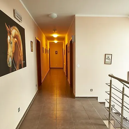 בית חווה Horse Riding - Jezdecky Areal Tršice