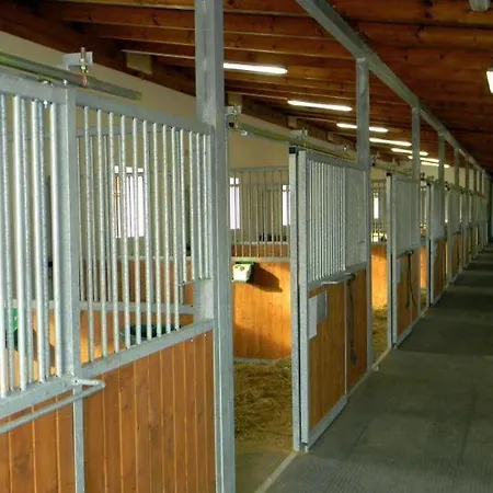 Horse Riding - Jezdecký Areál *