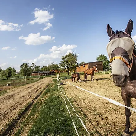 Horse Riding - Jezdecky Areal בית חווה Tršice