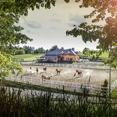 Horse Riding *