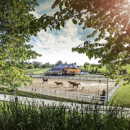 Horse Riding - Jezdecky Areal *