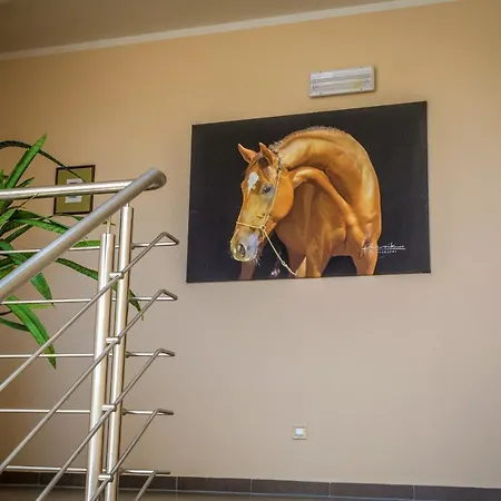 Horse Riding - Jezdecky Areal