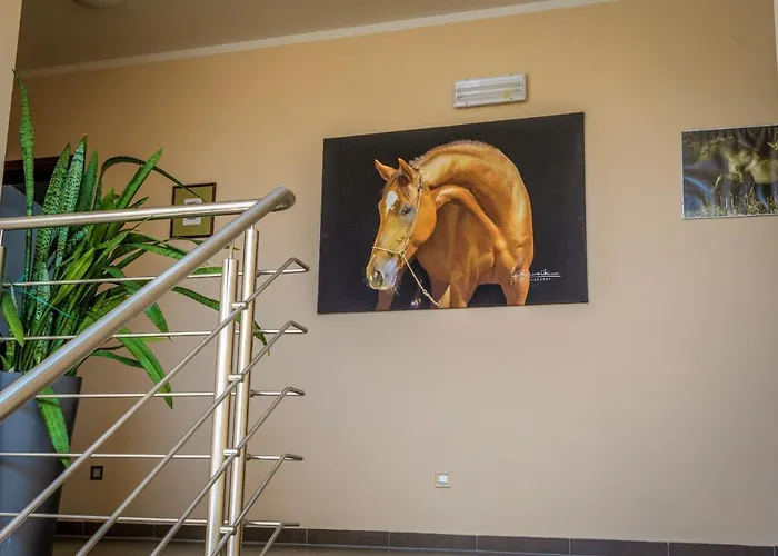 Horse Riding - Jezdecky Areal