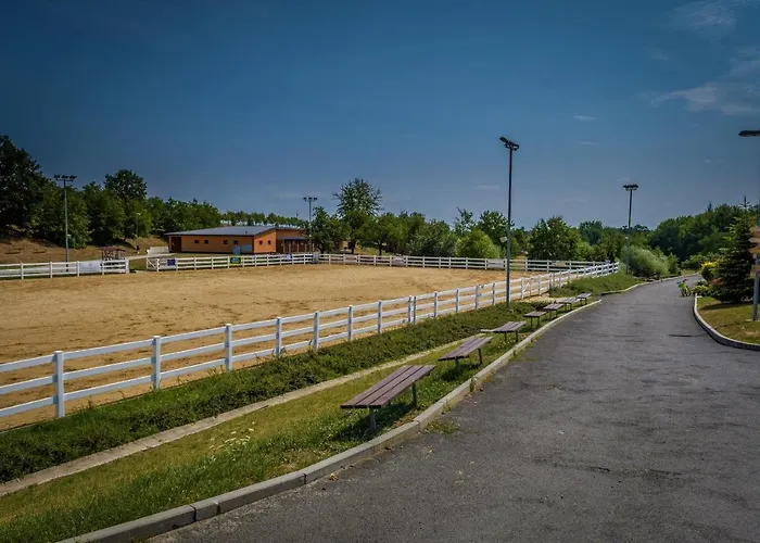 Horse Riding - Jezdecky Areal 팜스테이